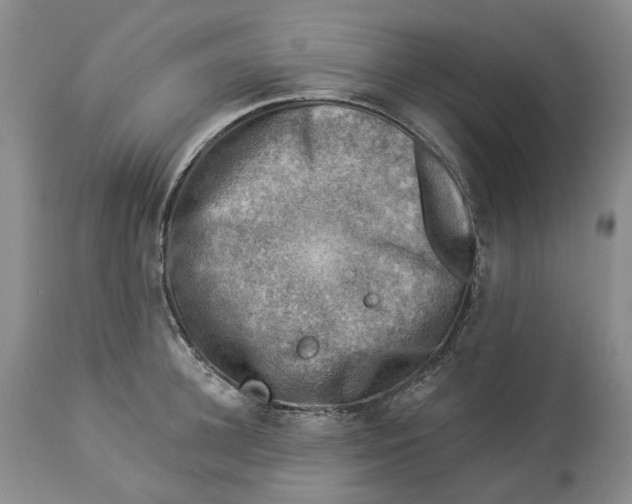 X0000114020948200910231834