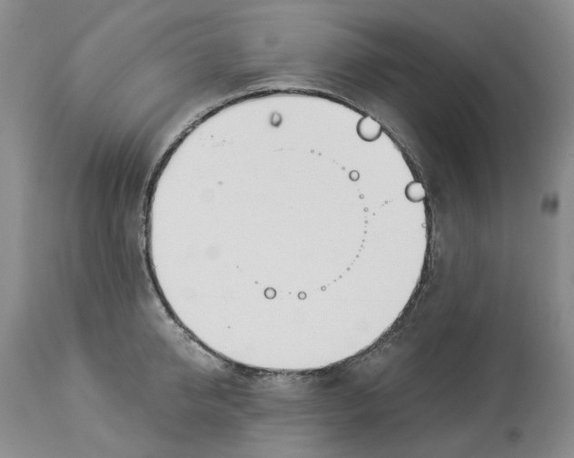 X0000114020950200910231834