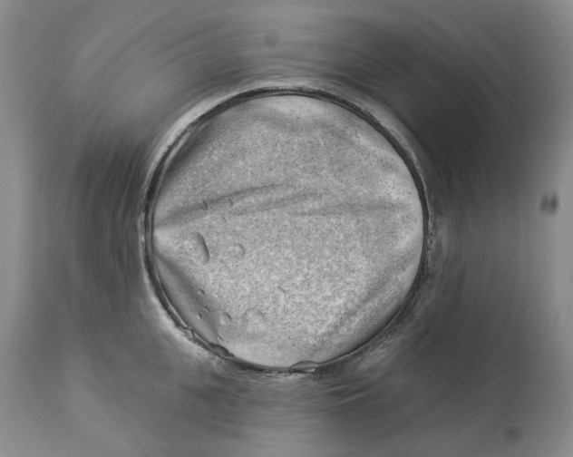 X0000114020951200910231834