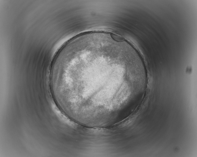 X0000114020952200910231834