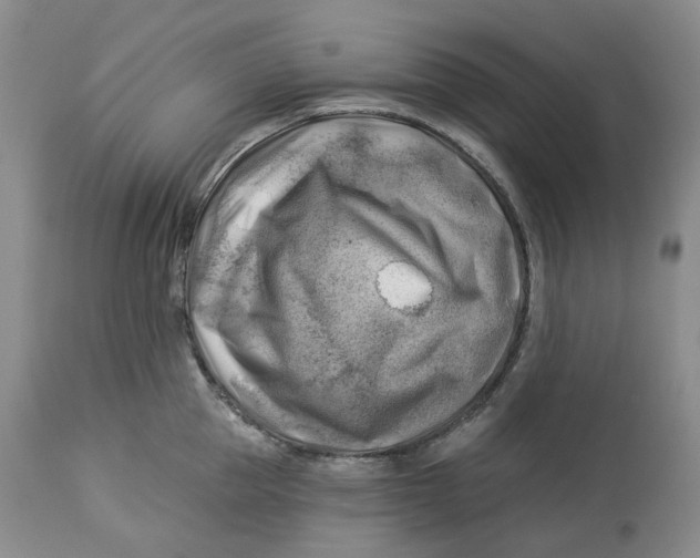 X0000114020953200910231834