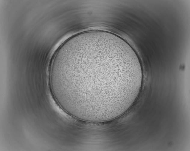 X0000114020955200910231834