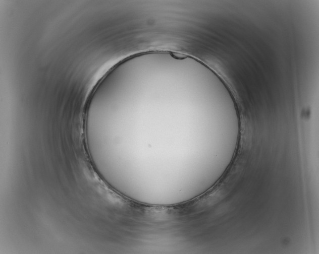 X0000114020956200910231834