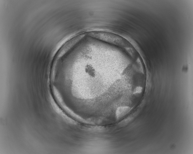 X0000114020957200910231834