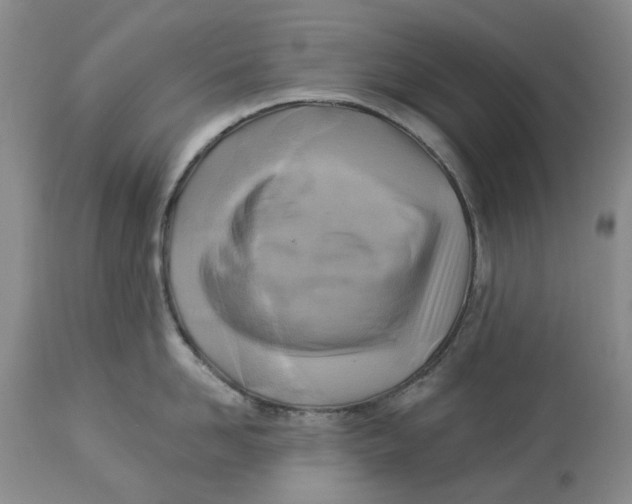 X0000114020958200910231834