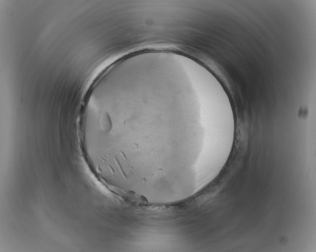 X0000114020959200910231834