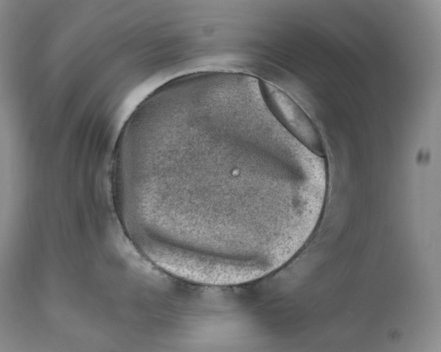 X0000114020960200910231834