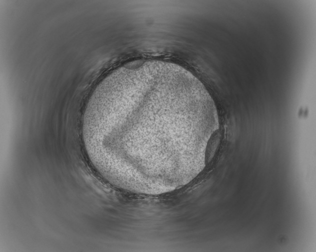 X0000114020961200910231833