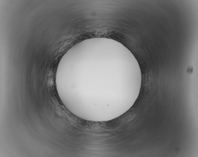 X0000114020962200910231833