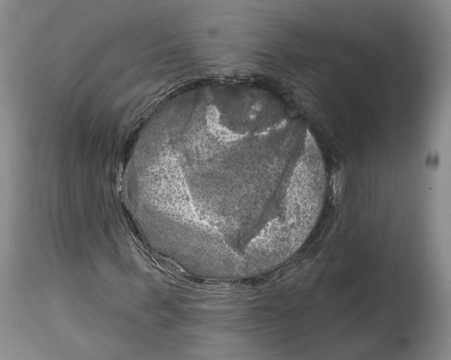 X0000114020963200910231833