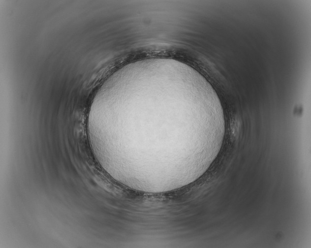 X0000114020964200910231833