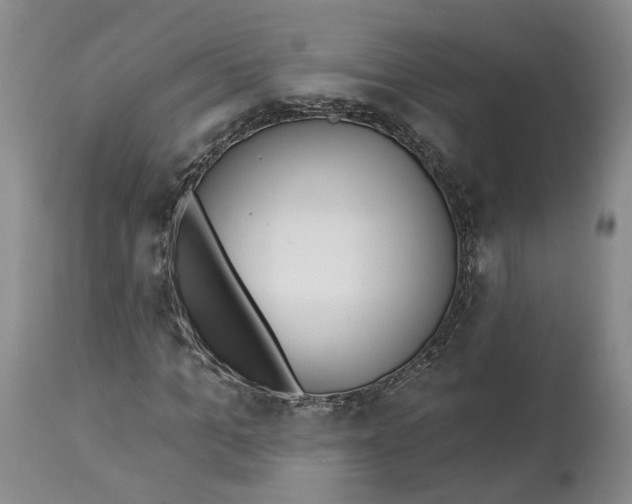 X0000114020965200910231833