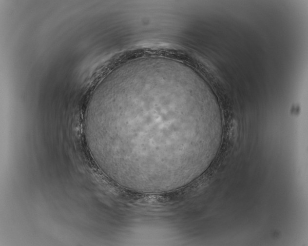 X0000114020966200910231833