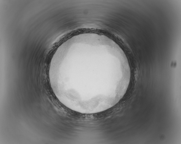 X0000114020968200910231833