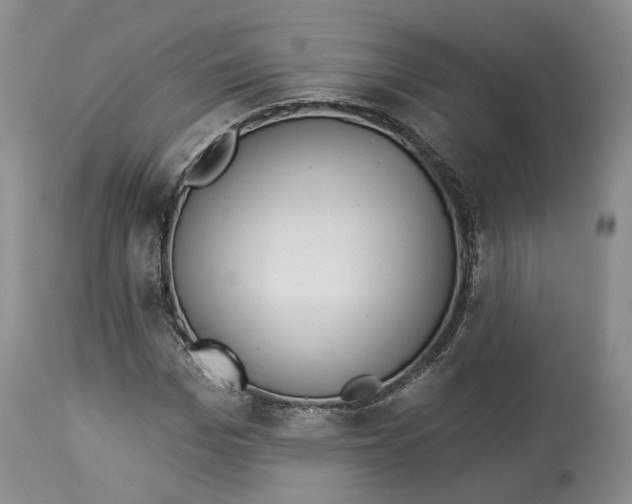 X0000114020969200910231833