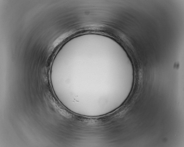 X0000114020970200910231833