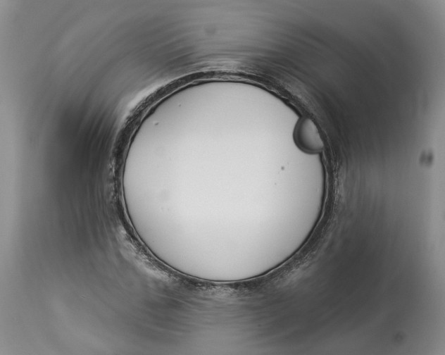 X0000114020971200910231833