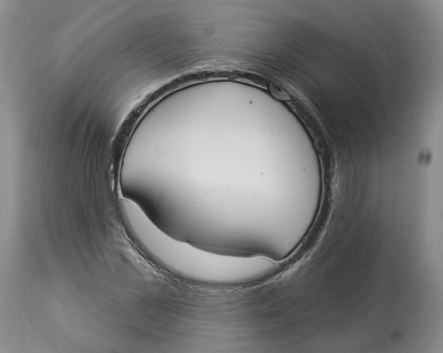 X0000114020973200910231833