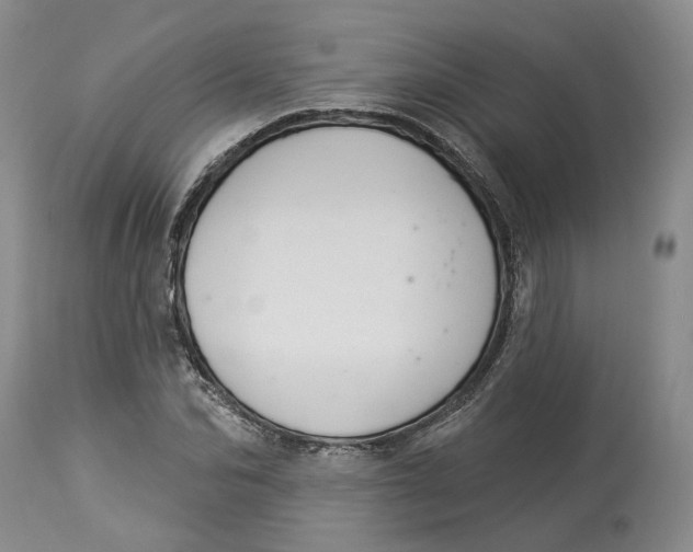 X0000114020974200910231833