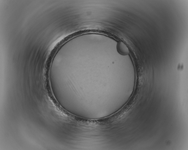 X0000114020975200910231833