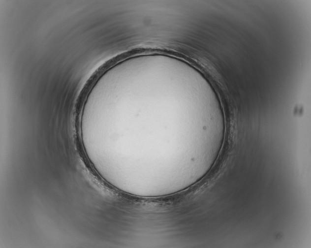 X0000114020976200910231833