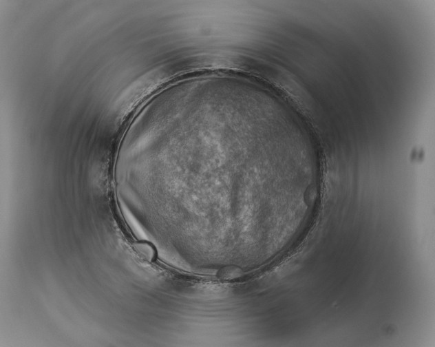 X0000114020977200910231833