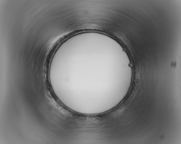 X0000114020979200910231833