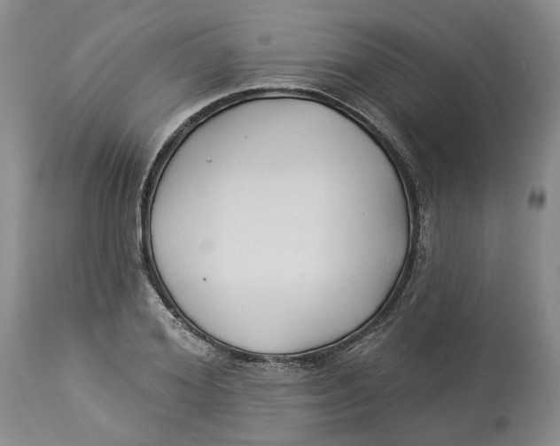 X0000114020980200910231833