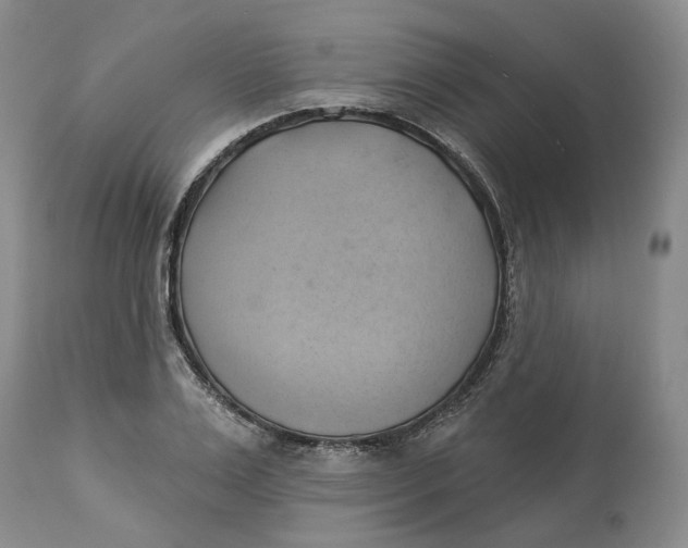 X0000114020983200910231833