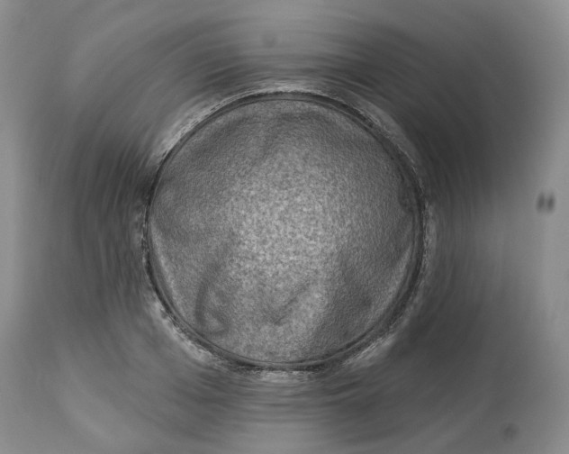 X0000114020985200910231833