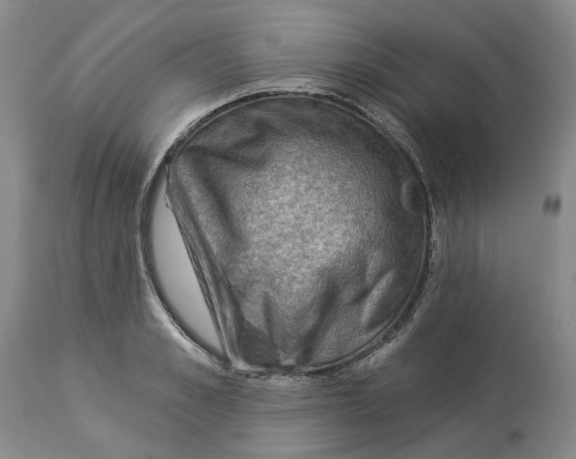 X0000114020989200910231833