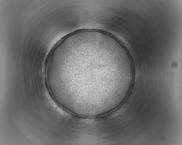 X0000114020990200910231833