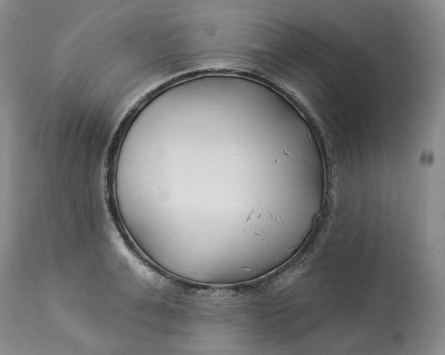 X0000114020991200910231833