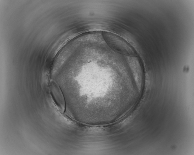 X0000114020993200910231833