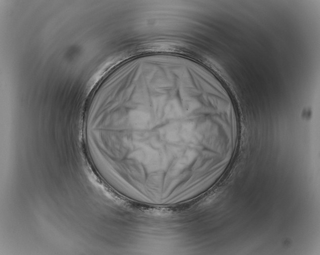 X0000114020994200910231833