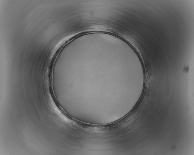 X0000114020995200910231833