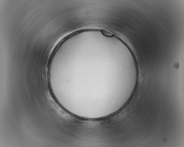 X0000114020996200910231833