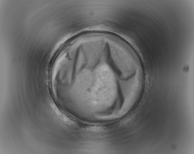 X0000114020998200910231833