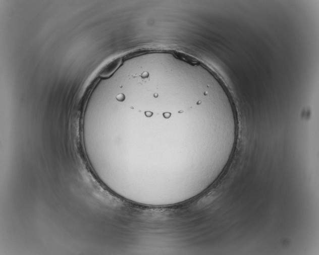 X0000114021000200910231833