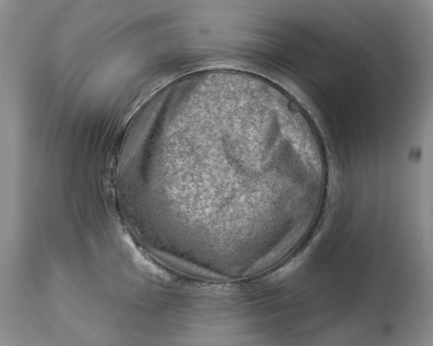 X0000114021001200910231833