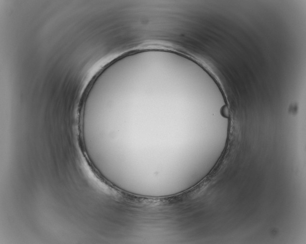 X0000114021003200910231833