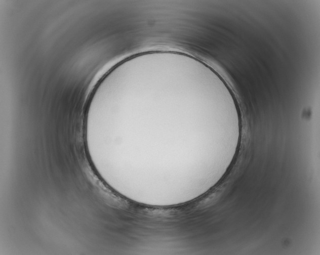 X0000114021004200910231833