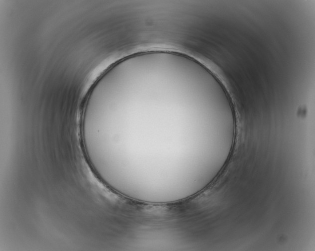 X0000114021006200910231833