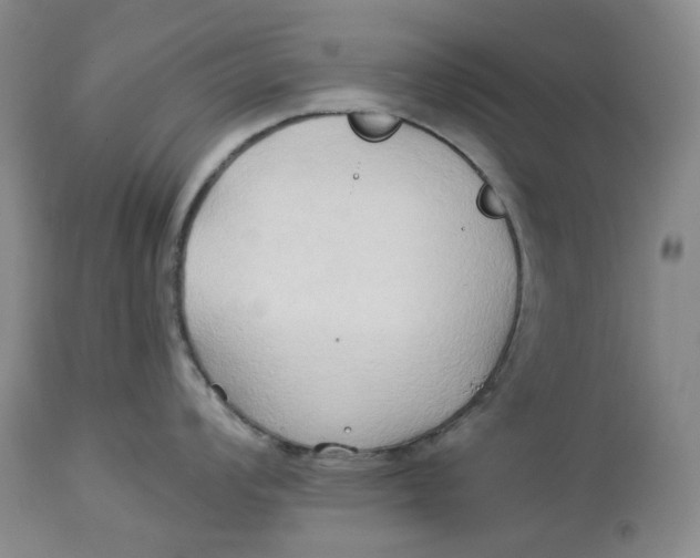 X0000114021008200910231833