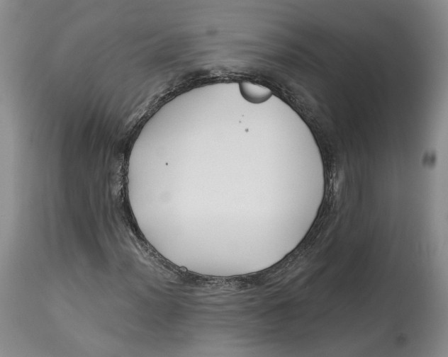 X0000114021012200910231832