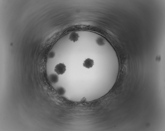 X0000114021014200910231832