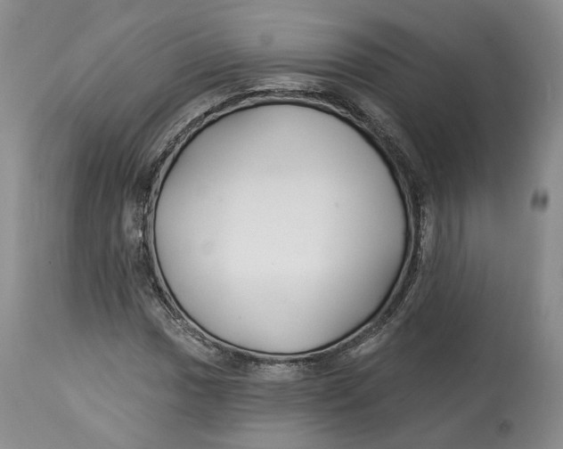 X0000114021017200910231832