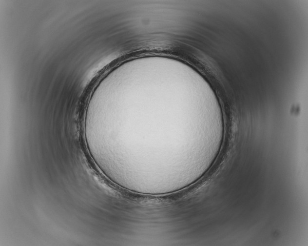 X0000114021018200910231832