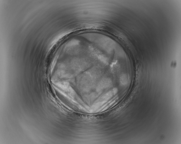 X0000114021019200910231832