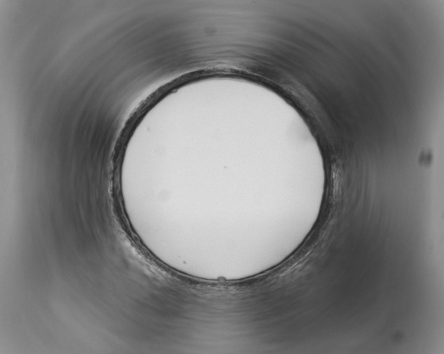 X0000114021020200910231832